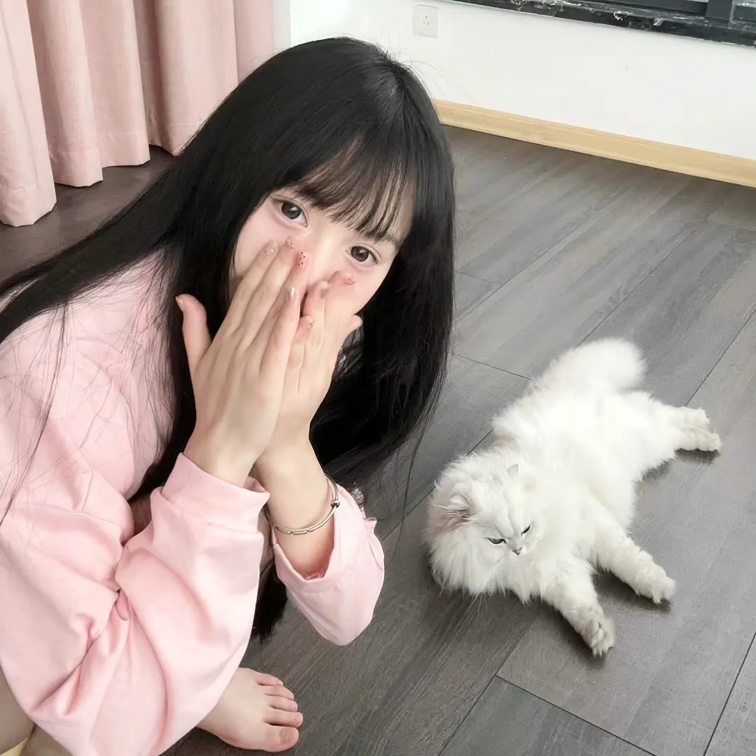 招财进宝