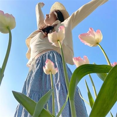加菲猫和他的朋友们第六季