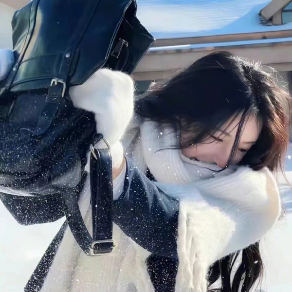 锁龙井